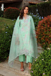 RANG RASIYA FLORENCE Haniya