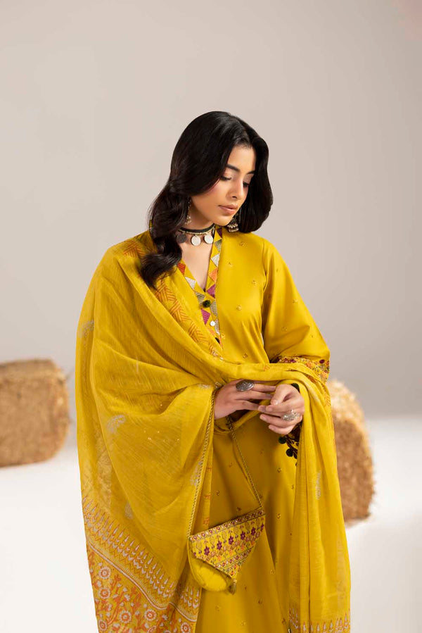 PHULKAARI 2012 DHAANI