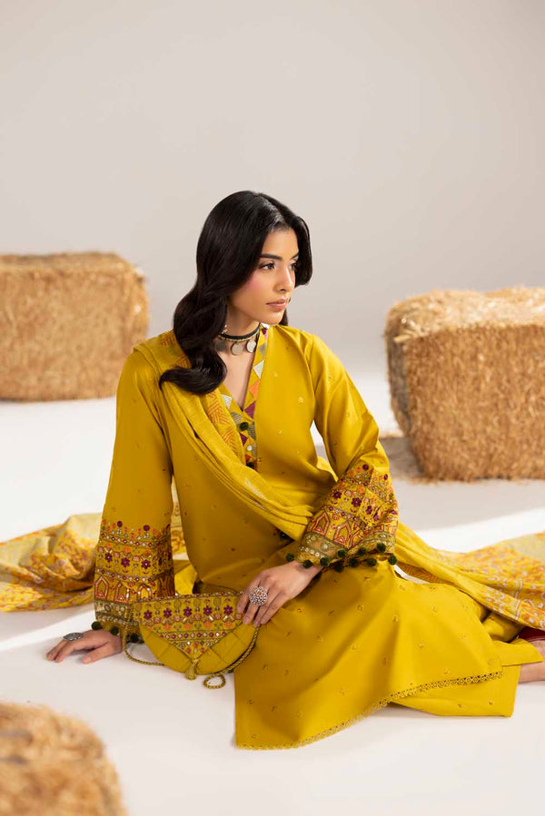 PHULKAARI 2012 DHAANI