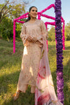 RANG RASIYA CARNATION FESTIVE EID -LILY