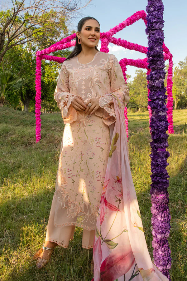 RANG RASIYA CARNATION FESTIVE EID -LILY