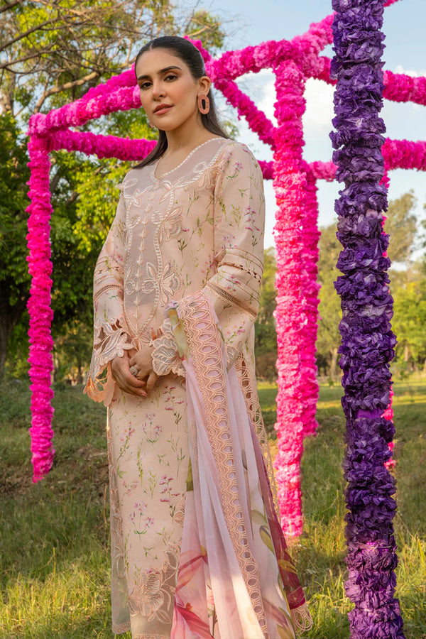 RANG RASIYA CARNATION FESTIVE EID -LILY