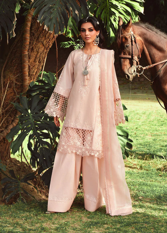 SHAHI BAGH PRET 2546- A