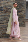 QALAMKAR QLINE-12 ZAYLA