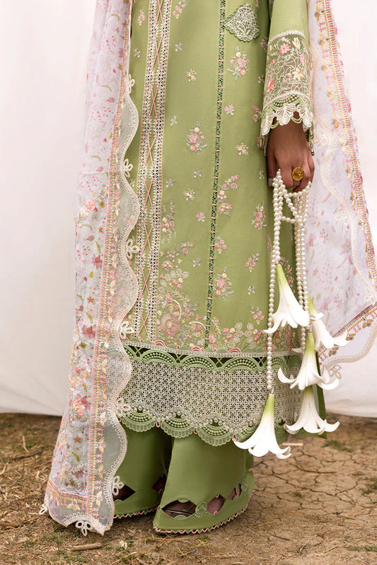 QLINEKARI DC-01 Lovisa