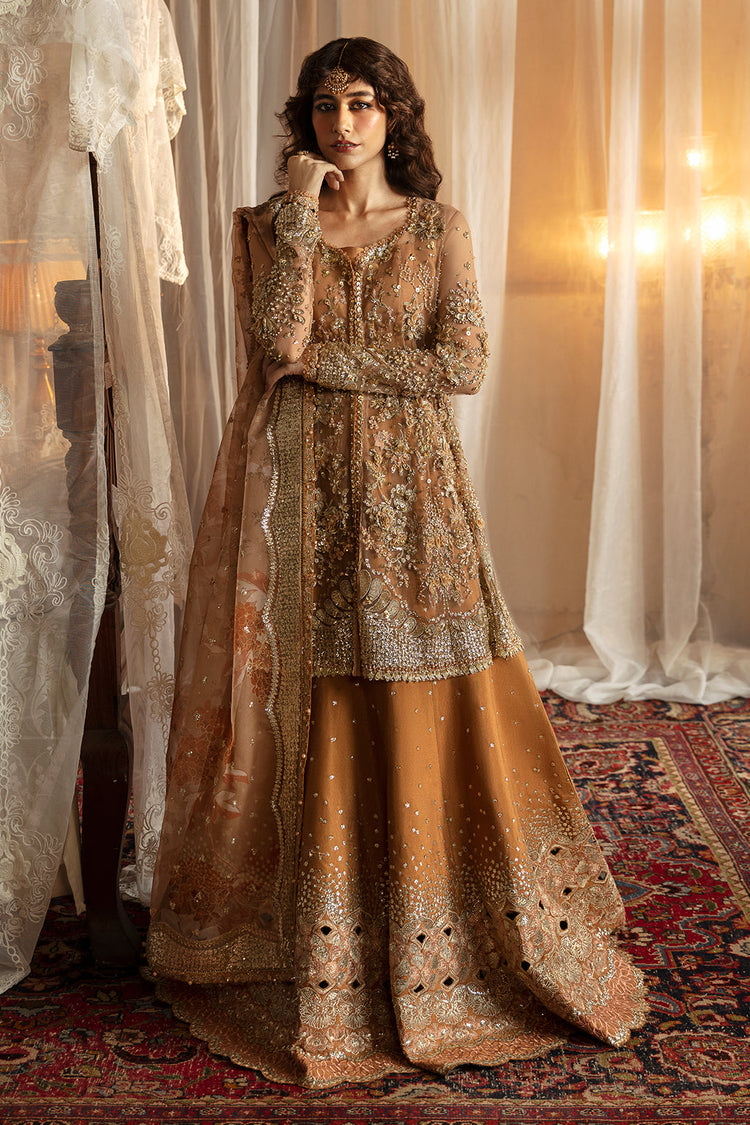 Afrozeh Hayat ’24 Wedding Collection - Nooray