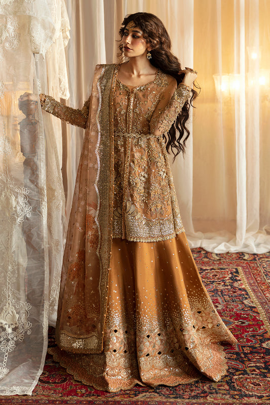 Afrozeh Hayat ’24 Wedding Collection - Nooray