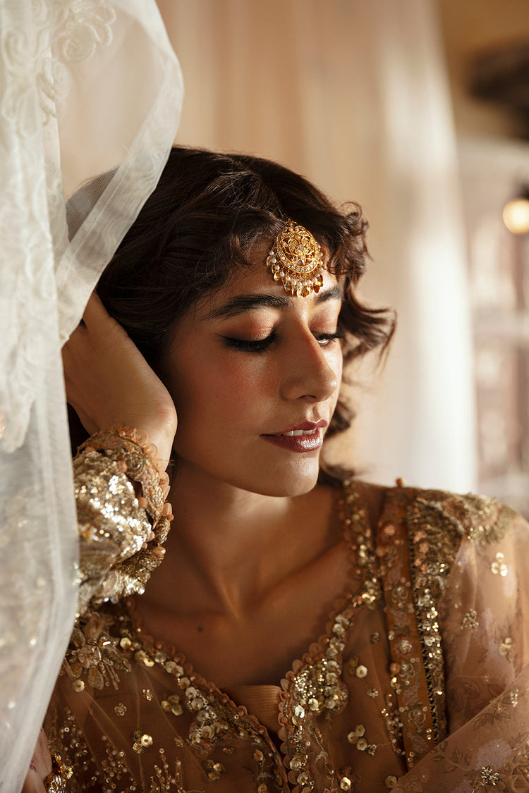 Afrozeh Hayat ’24 Wedding Collection - Nooray