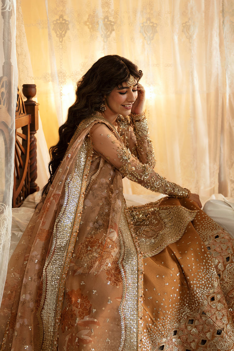 Afrozeh Hayat ’24 Wedding Collection - Nooray