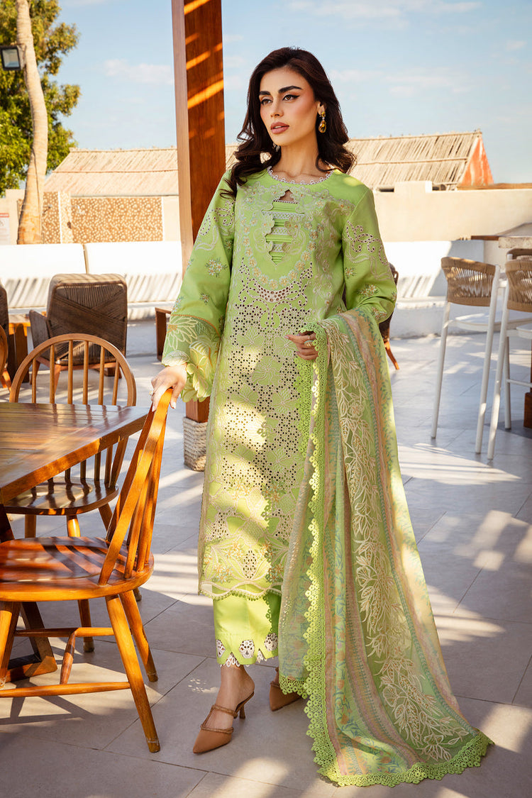 RANG RASIYA PREMIUM LUXURY LAWN | D-03