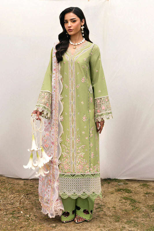 QLINEKARI DC-01 Lovisa