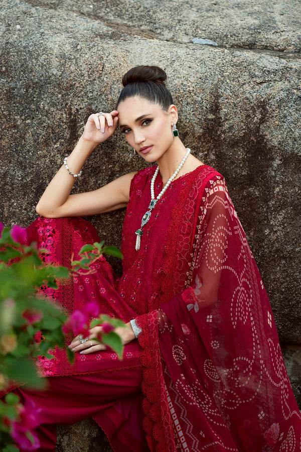 Sophia SRLL2-24-02- Saira Rizwan