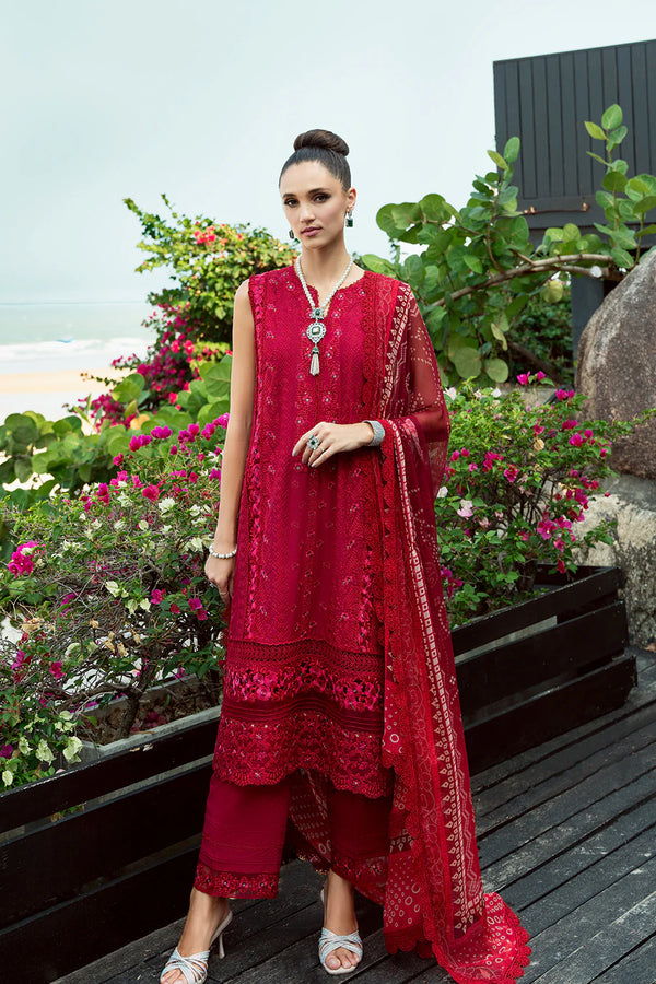 Sophia SRLL2-24-02- Saira Rizwan