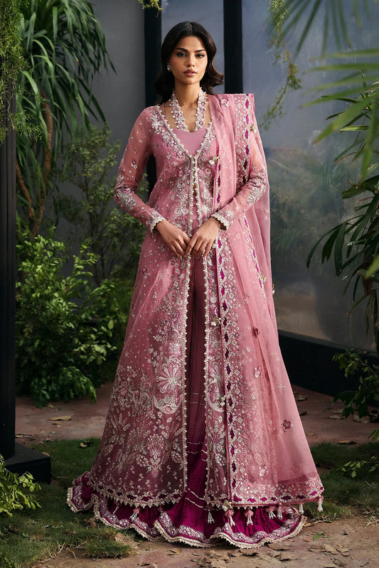AFROZEH LA FUCHSIA'25/ Seraira