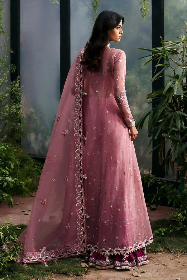 AFROZEH LA FUCHSIA'25/ Seraira