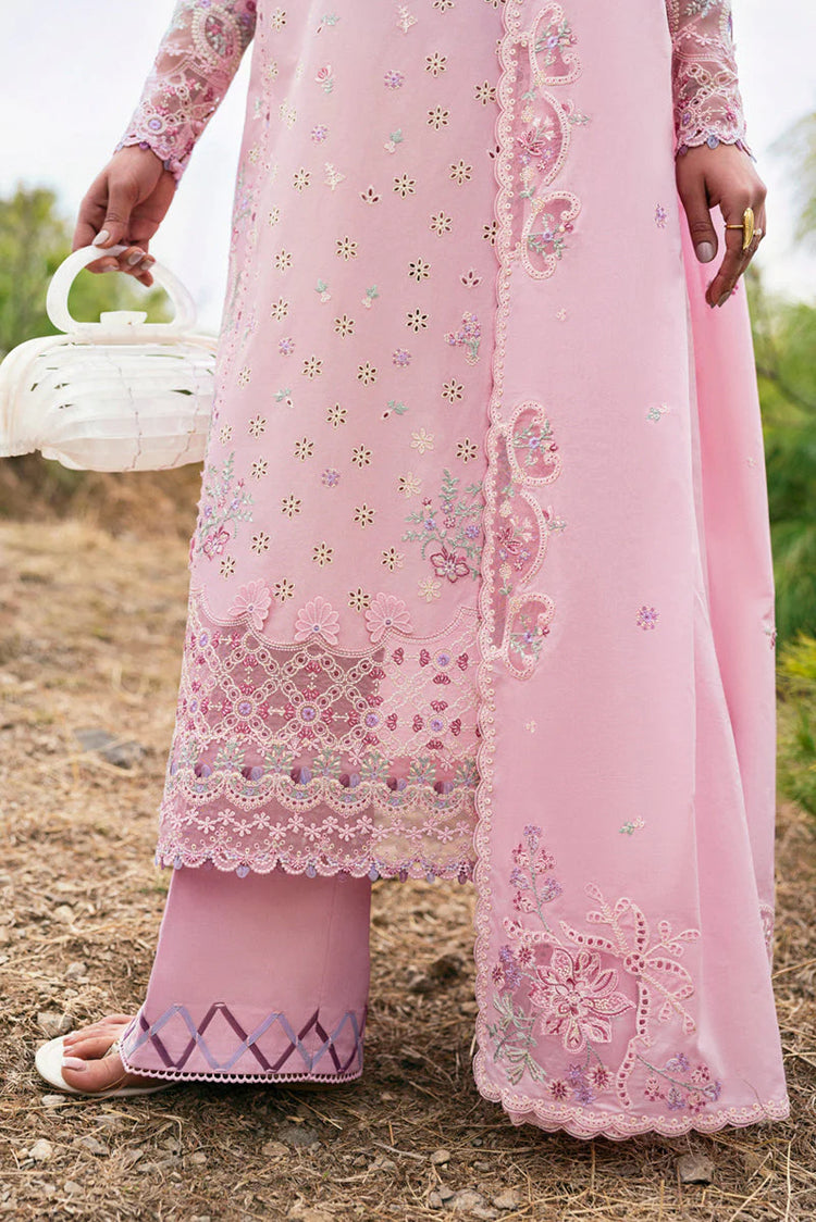 QLINEKARI DC-02 Freja