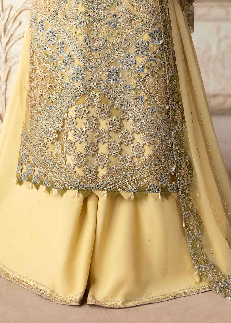 SARDINIA CHIFFON EDIT'25 / Haseena