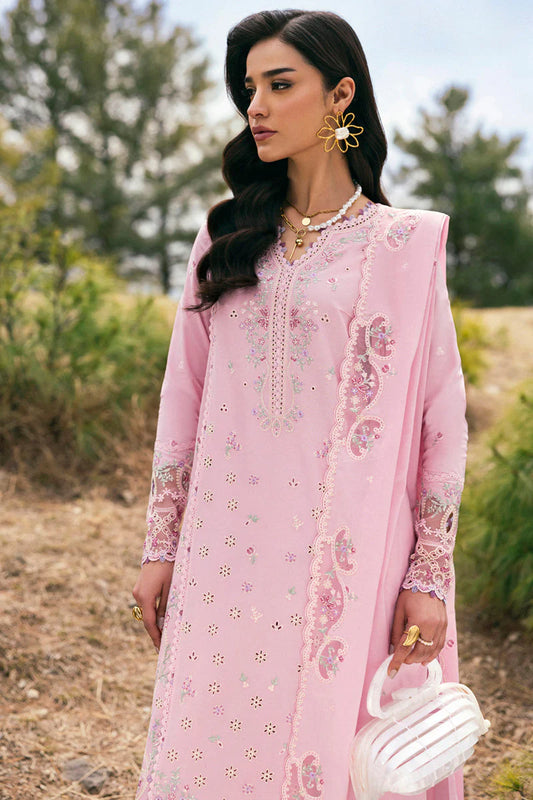 QLINEKARI DC-02 Freja