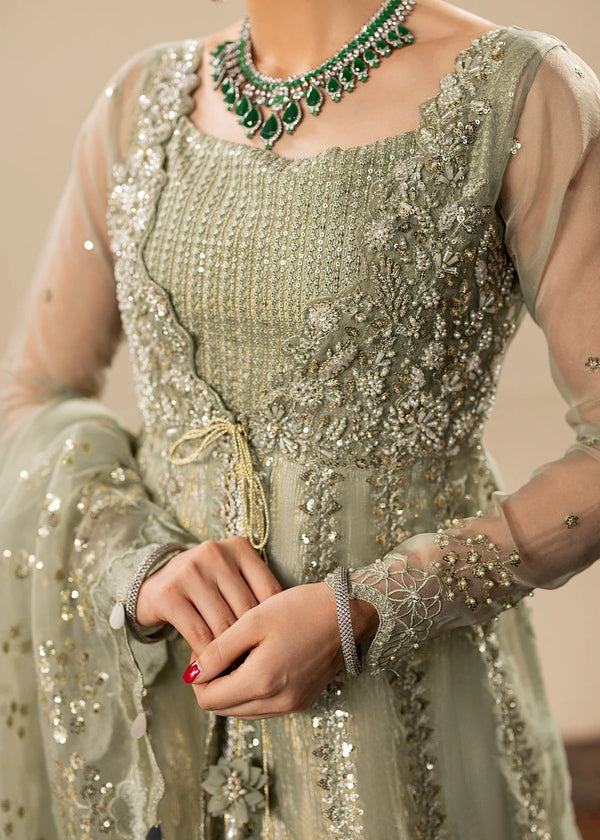 MERAKI ZOYA AHMAD- 02