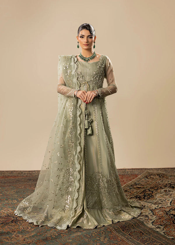 MERAKI ZOYA AHMAD- 02