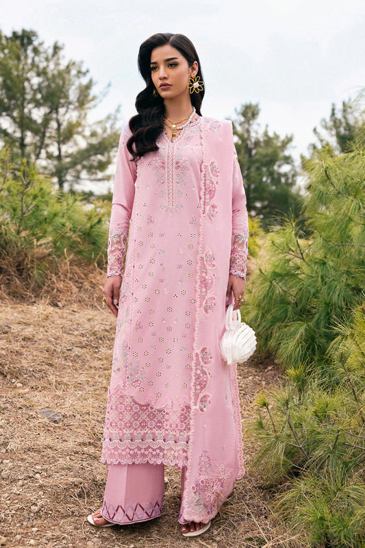 QLINEKARI DC-02 Freja