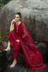 Sophia SRLL2-24-02- Saira Rizwan