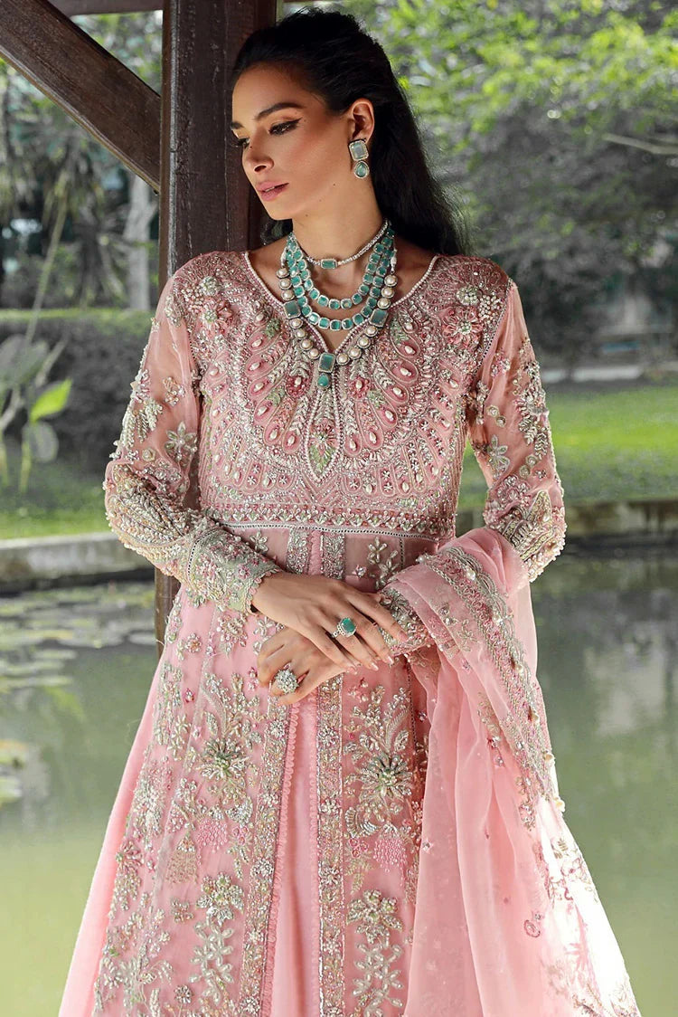Enaara – Our First Chapter Festive Collection Vol 1 | D 03