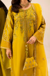 ZARDOZI EID EDTION - 03 DHAANI