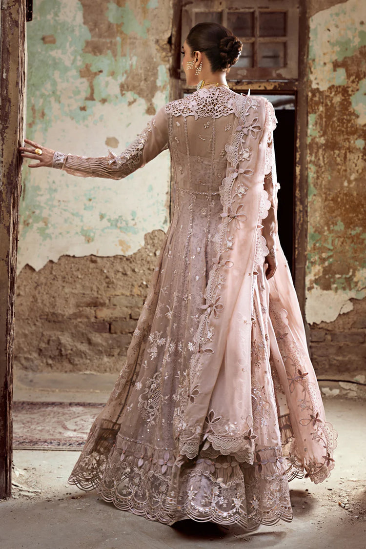 QALAMKAR CHIFFON-25 -WC-01 AISLA