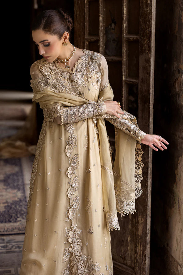 QALAMKAR CHIFFON-25 -WC-07 HEELA