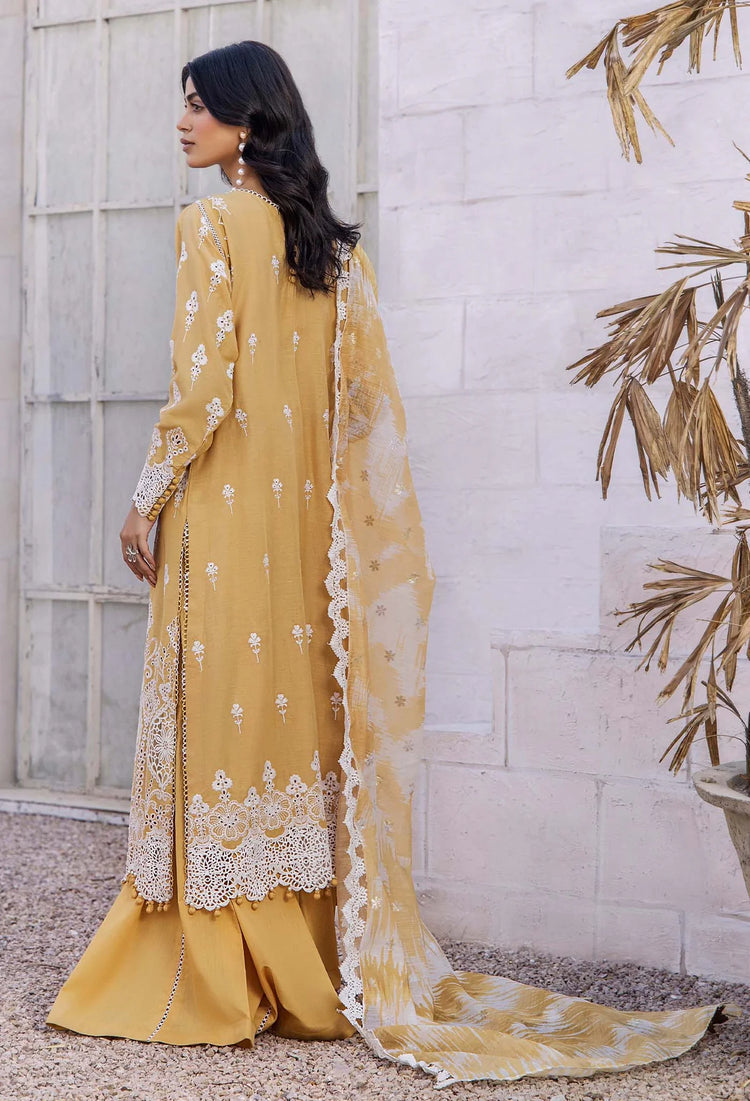 LASSERKARI BY ADAN'S LIBAS | LUXURY CHIKANKARI | D-3904