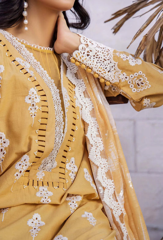 LASSERKARI BY ADAN'S LIBAS | LUXURY CHIKANKARI | D-3904