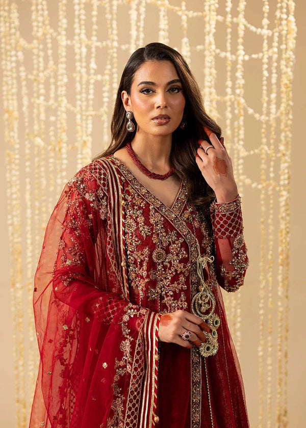 MERAKI ZOYA AHMAD- 03