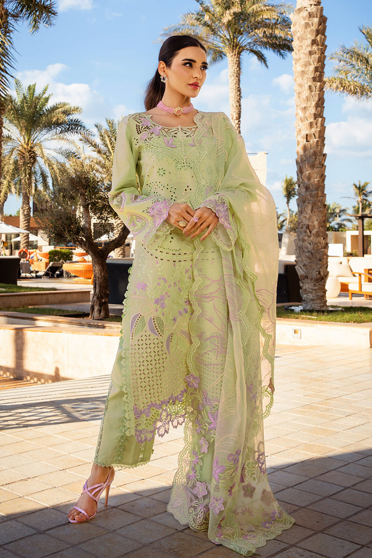 RANG RASIYA PREMIUM LUXURY LAWN | D-10