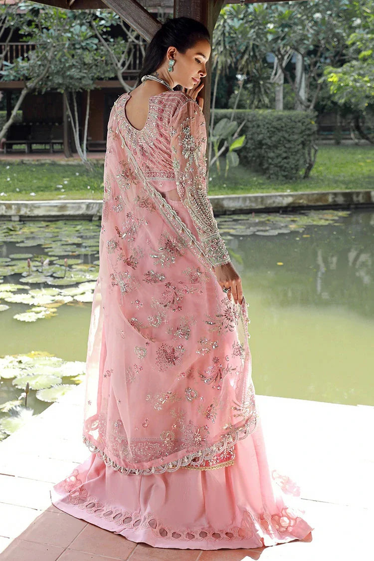 Enaara – Our First Chapter Festive Collection Vol 1 | D 03