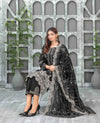 Sameeha Emb Paste Print Cutwork Dupatta By Tawakkal Fab D-1918