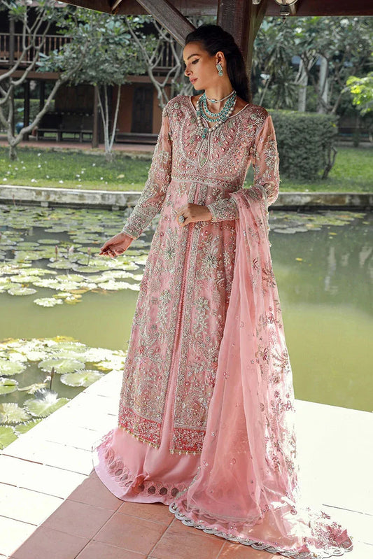 Enaara – Our First Chapter Festive Collection Vol 1 | D 03