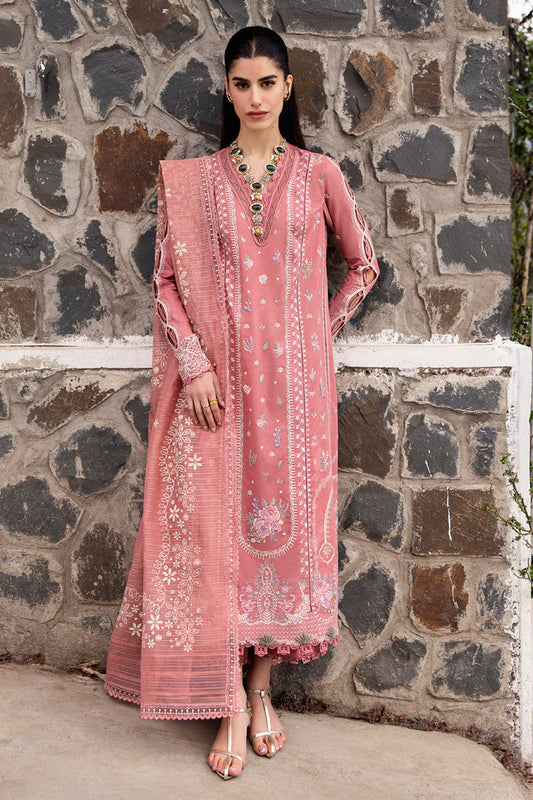 QLINEKARI DC-03 Moya