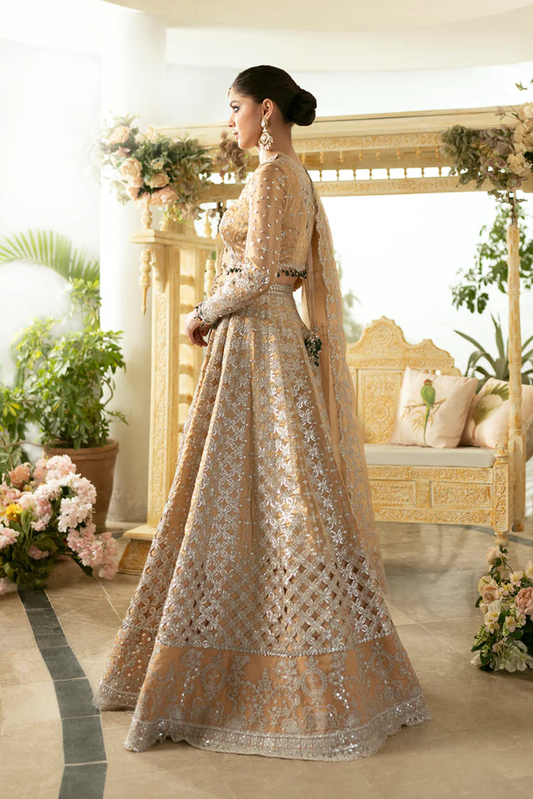 QALAMKAR WEDDING FORMAL 3PC | DN-01 IMAAN