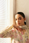 DAY BREAK BY AFROZEH CHICKEN KARI-GLOW STREAKED