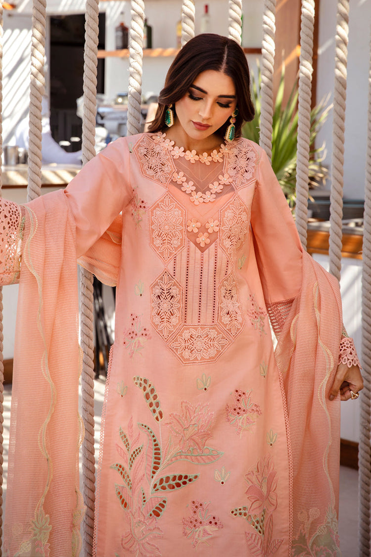 RANG RASIYA PREMIUM LUXURY LAWN | D-08