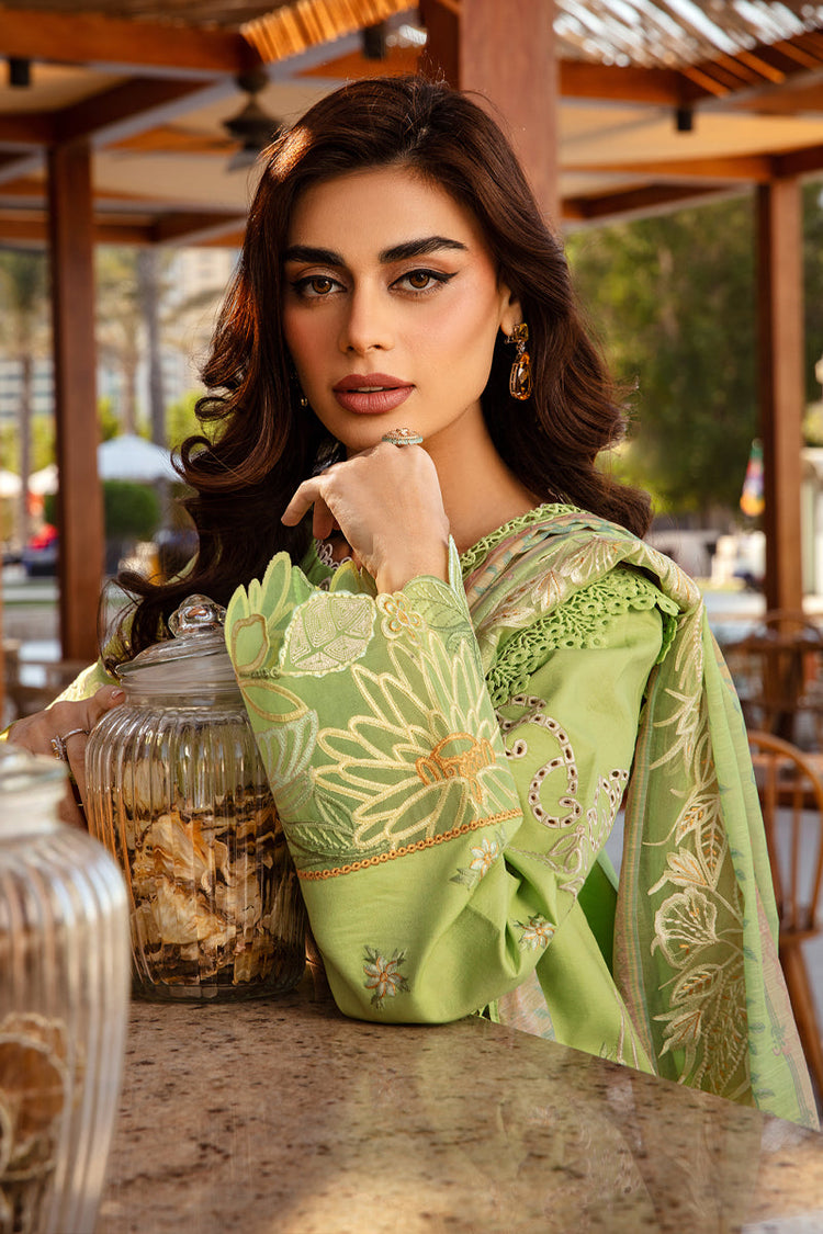 RANG RASIYA PREMIUM LUXURY LAWN | D-03