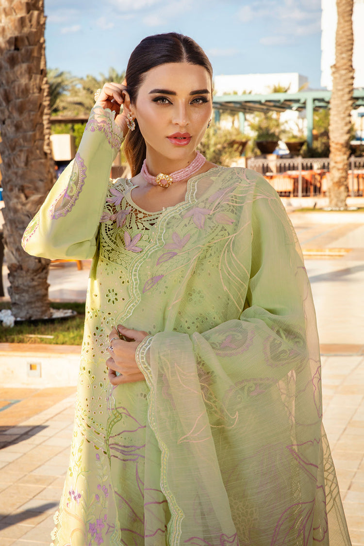 RANG RASIYA PREMIUM LUXURY LAWN | D-10