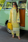 RANG RASIYA CARNATION FESTIVE EID - AYLA