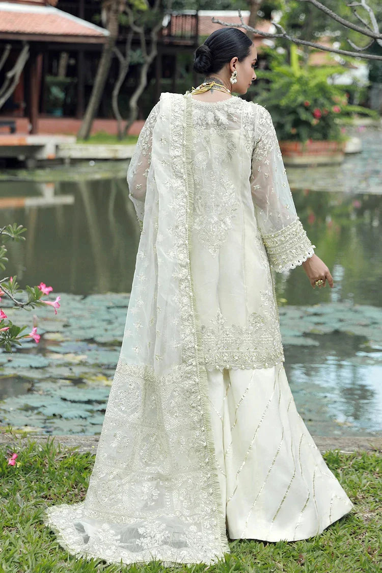Enaara – Our First Chapter Festive Collection Vol 1 | D 05