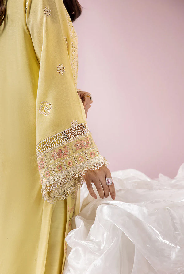 Meeral Eid Edit - Amelia