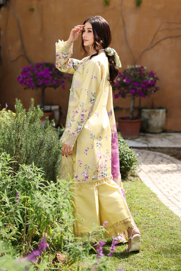 Rangrasiya Lifestyle Summer 2026-Hazel
