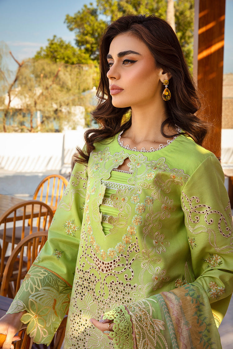 RANG RASIYA PREMIUM LUXURY LAWN | D-03