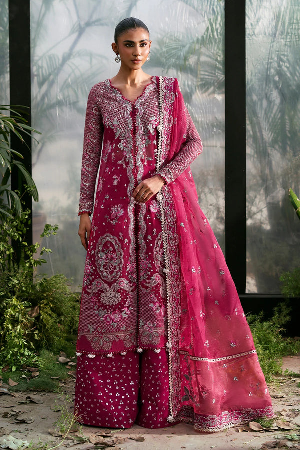 AFROZEH LA FUCHSIA'25/ Rowan