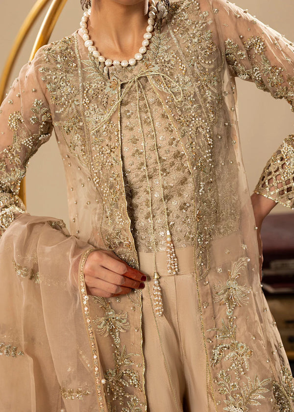 MERAKI ZOYA AHMAD- 07